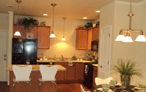 Energy Star Kitchen Appliances 