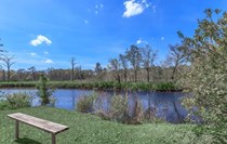 Photo of Canopy Creek Apartments