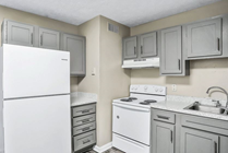 Chic modern kitchen with elegant grey cabinets, sleek countertops, and efficient appliances.