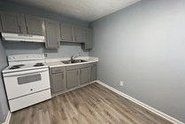 Elegant kitchen space featuring modern gray cabinets, sleek white appliances, and stylish wood flooring.