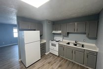 Modern kitchen with sleek gray cabinetry, spacious countertops, and elegant appliances, perfect for culinary creativity.