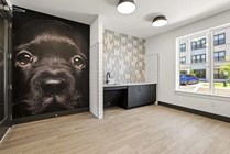 Longleaf at St. Johns Apartments | St. Johns, FL | Pet Spa