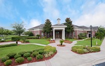Beautiful Landscaping 