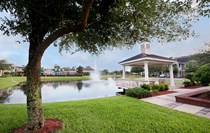 Pond in Center of Community 