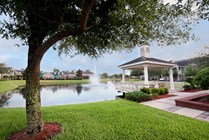 Pond in Center of Community 